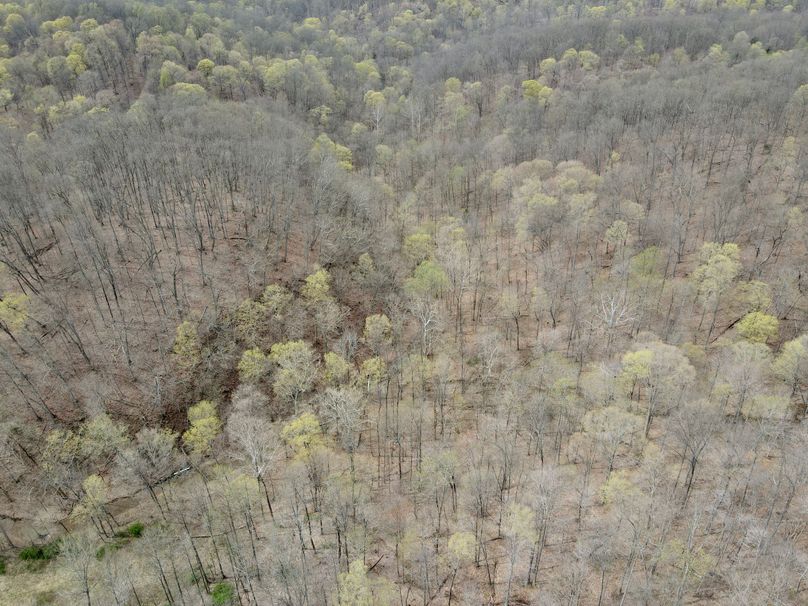 dji_fly_20230407_131204_366_1680887535177_photo