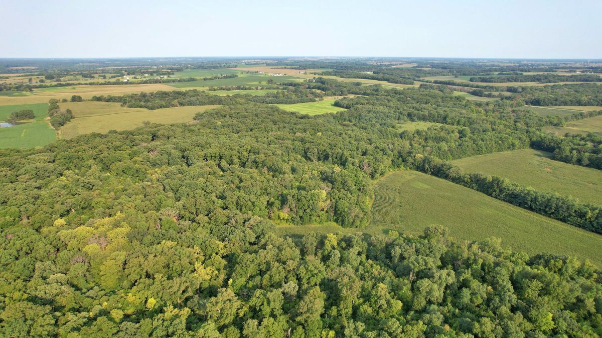 Excellent Hunting And Farm In Northeast MO Whitetail Properties