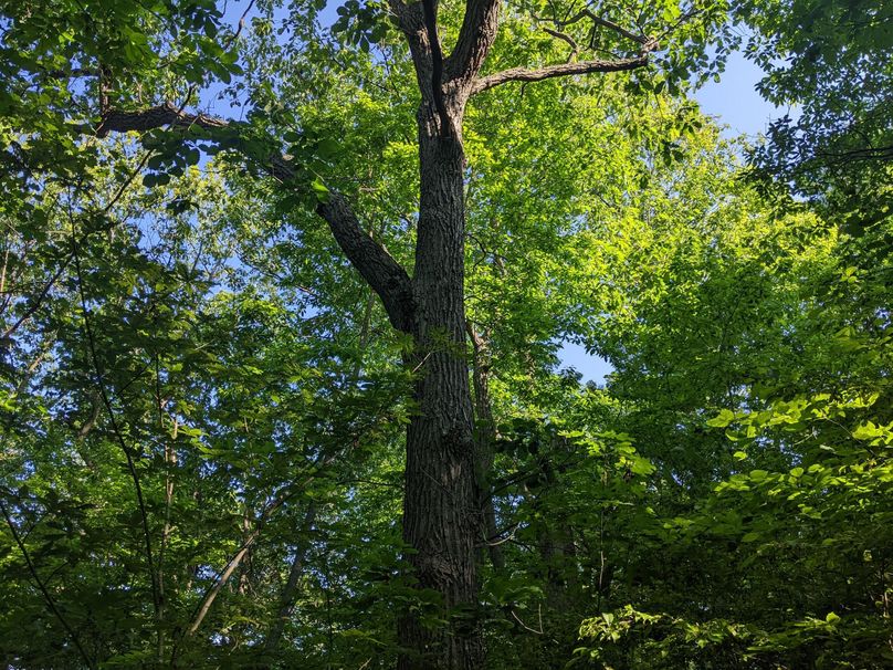 PXL_20230602_132826173