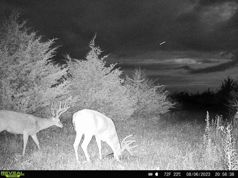 41518751-6CC0-436C-9C5B-90AB795F80E0