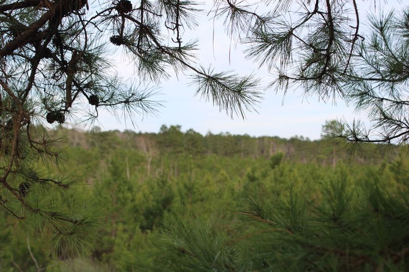 791735CD-D1E5-4409-923F-F632061C3310_1_105_c