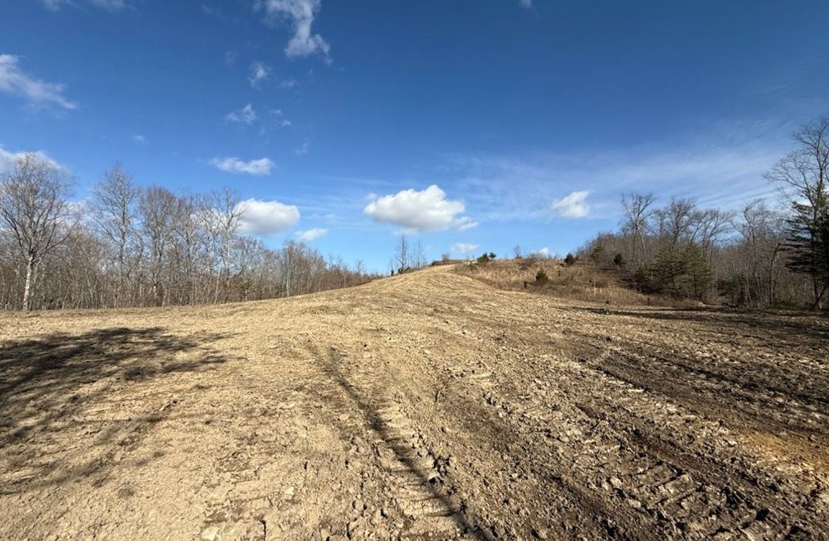 003 the cleared area in the upper reaches along the west boundary