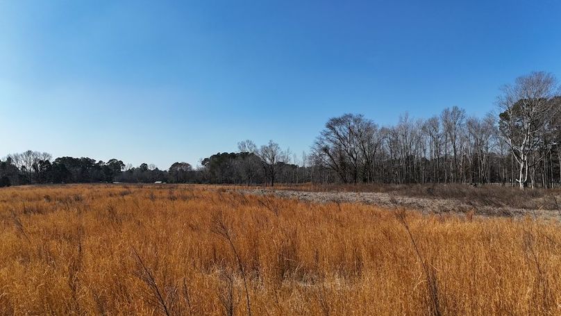 dji_fly_20260206_113328_0259_1770395758139_photo