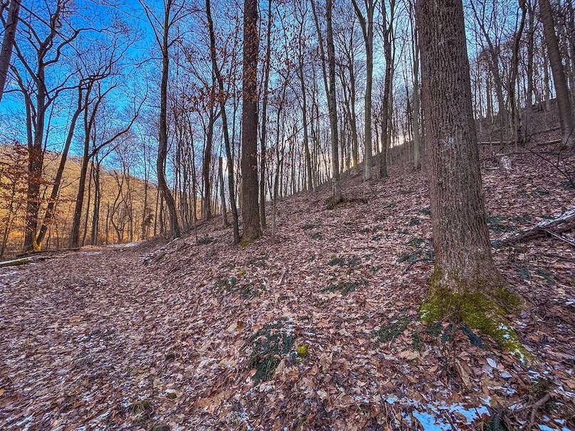 Pleasants, WV 81 AC Barron-12