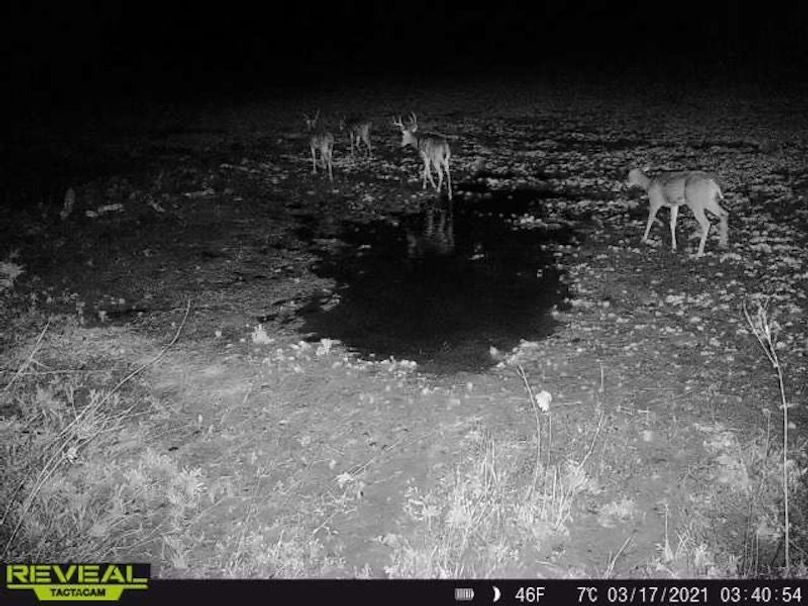 865519049947982-100-4-03172021034054-W1007111