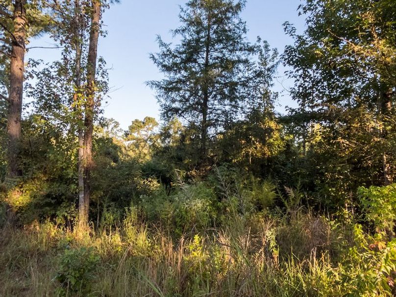 Hinds Co - 78 - Newman-19