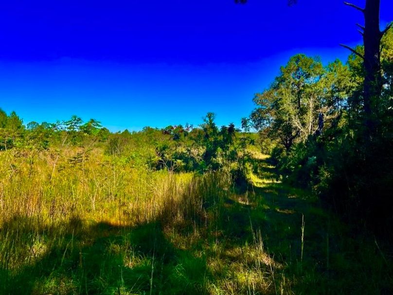 2657AA2E-C017-4B7F-AE80-2339E6B8EB92_1_105_c