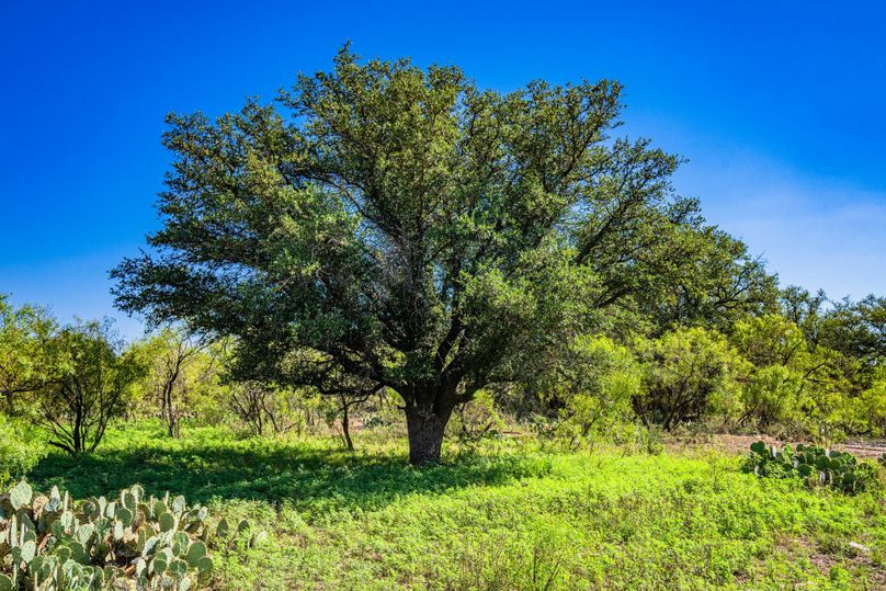 26-web-or-mls-DSC08540