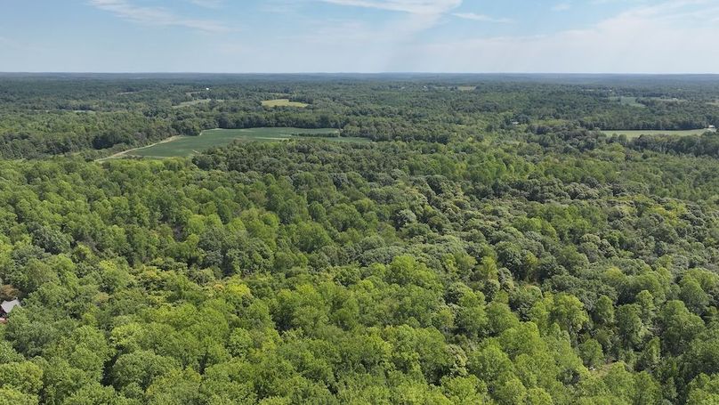 dji_fly_20240904_132758_0369_1725471196183_photo