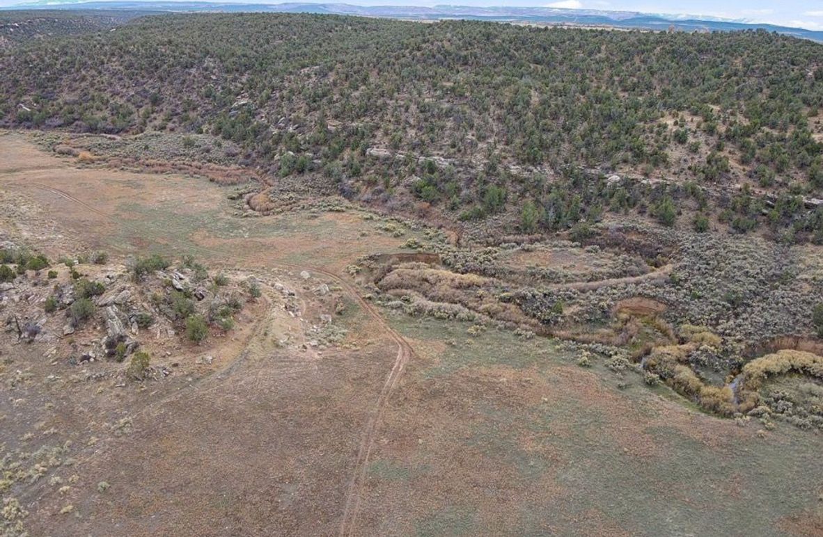 2024-11-05-13-35-06-758