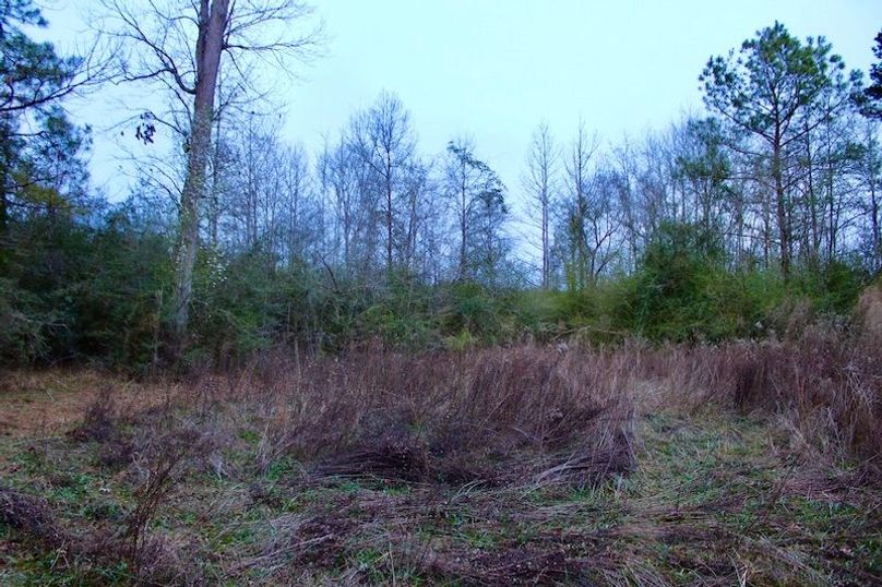 ED7A870A-1F57-4739-8BB4-EA2D40D9F7B7_1_105_c