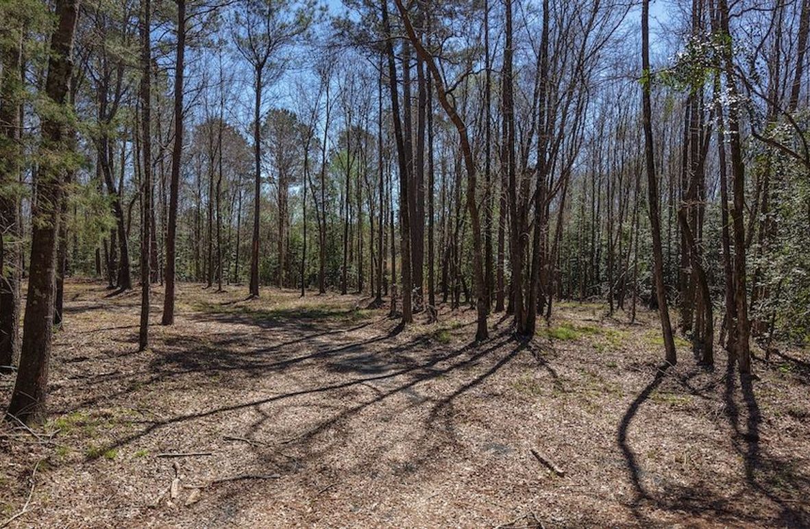 DJI_20260310232131_0004_D