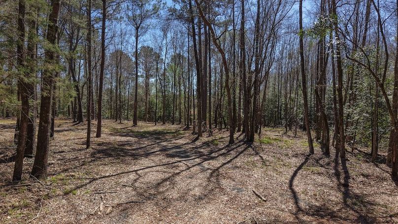 DJI_20260310232131_0004_D