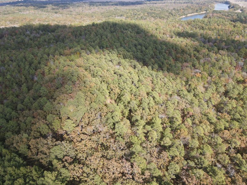 6B1E617F-BAAB-4717-843B-AFA24C8F1428_1_102_o