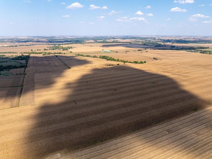 Copy of Whiteside 181_16