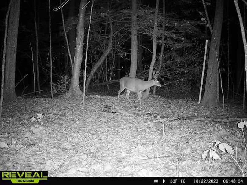 865814048154676-100-2-10222023064834-W1003998