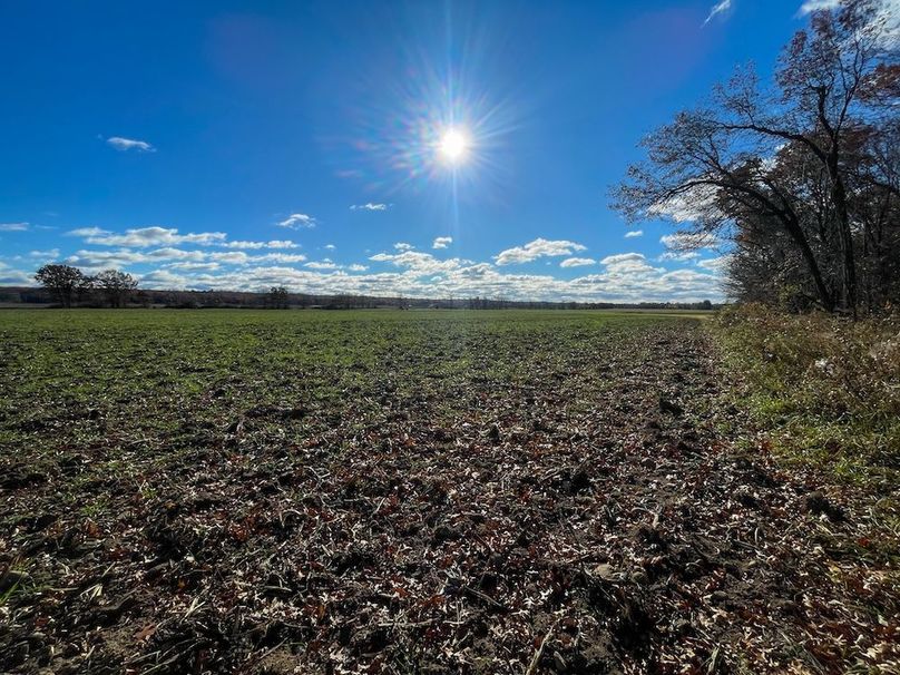 Portage 150.81 JMJK Prop-12