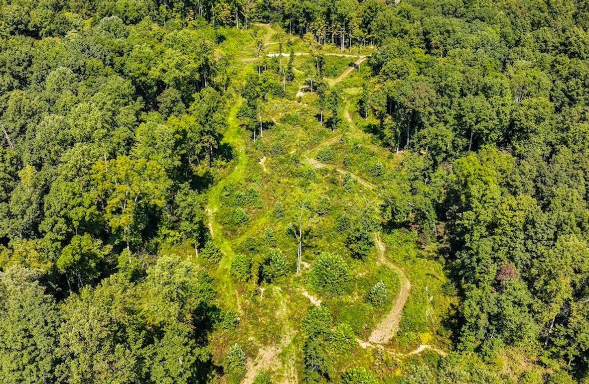 Copy of dji_fly_20250910_132852_0474_1757525874265_photo