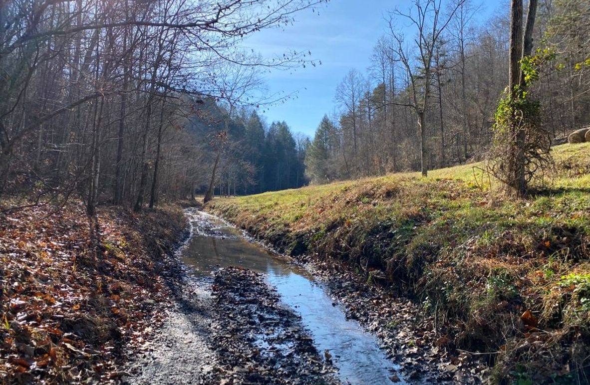 003 road leading into the creek as it leaves the gravel road 3500_ north of the property