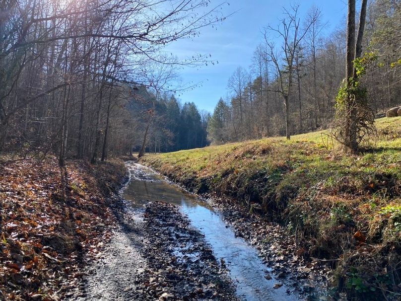 003 road leading into the creek as it leaves the gravel road 3500_ north of the property