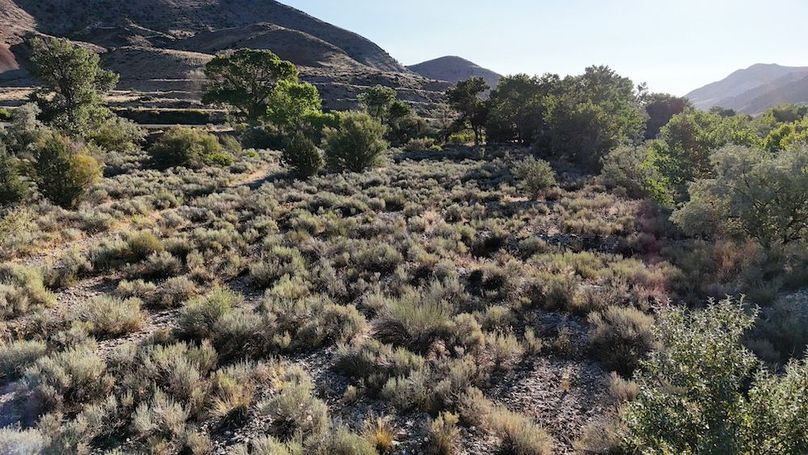 Salina Creek Acreage with Water Rights36