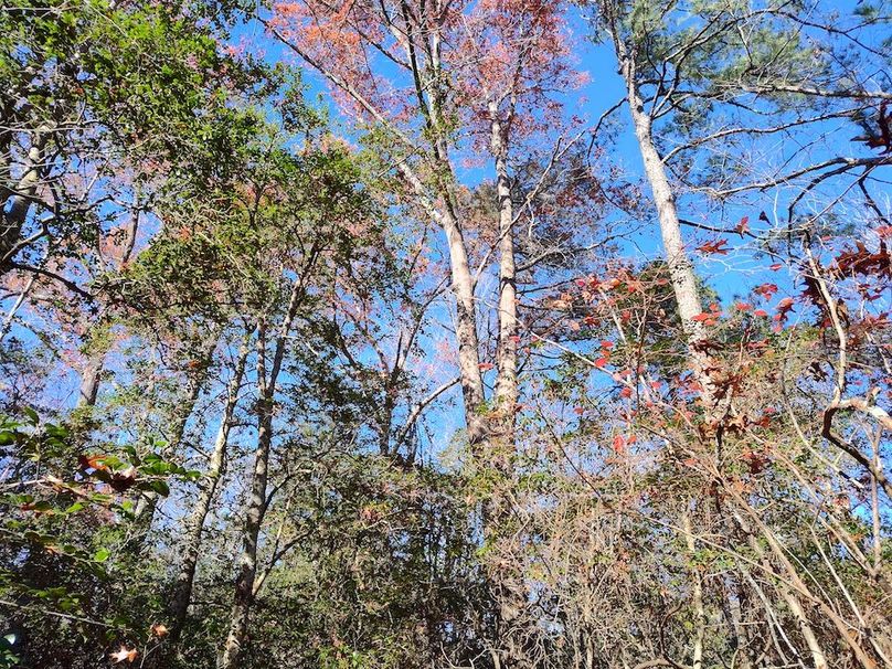 IMG_20251124_122638255_HDR