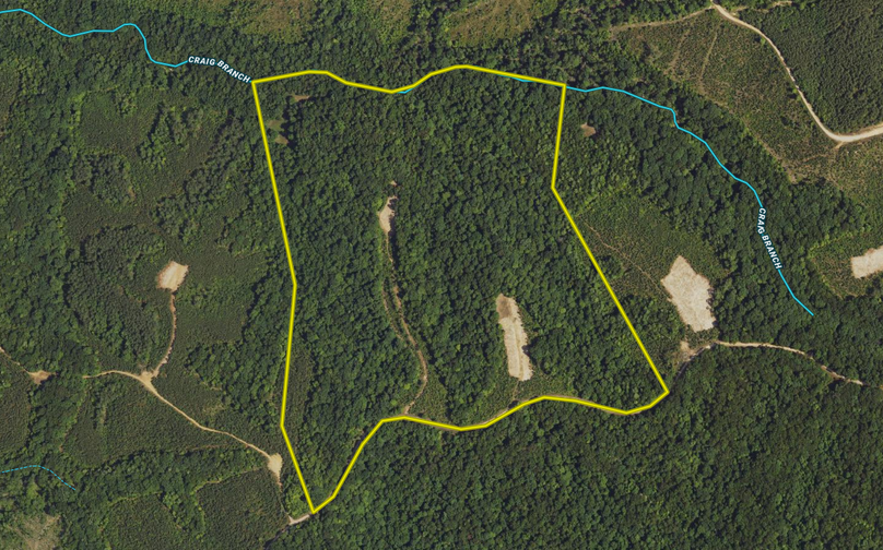 Screen Shot 2023-07-14 at 3.03.23 PM