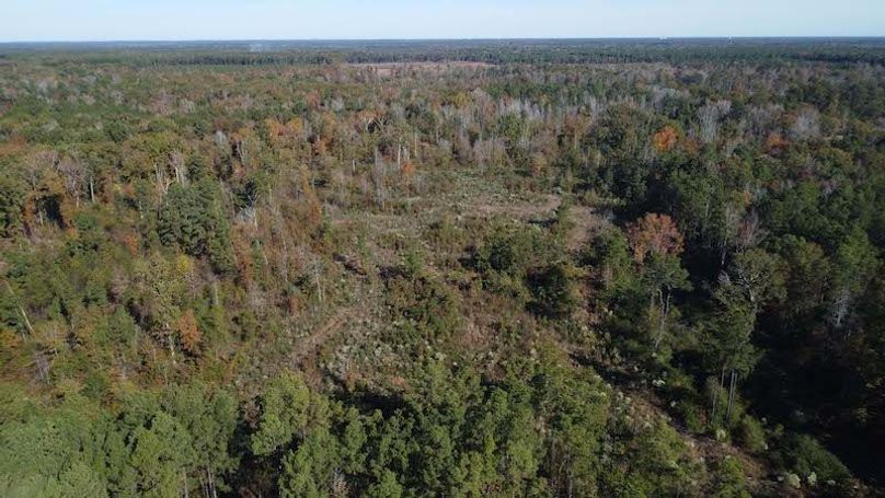 Jeff 11720251111_0185