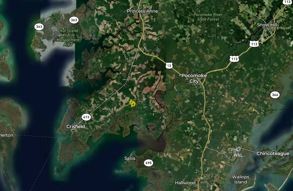 Screenshot 2025-08-09 at 12.01.52 PM