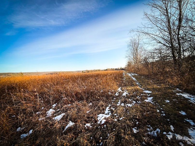 Seneca_24.54_Hohwald_Photos_39