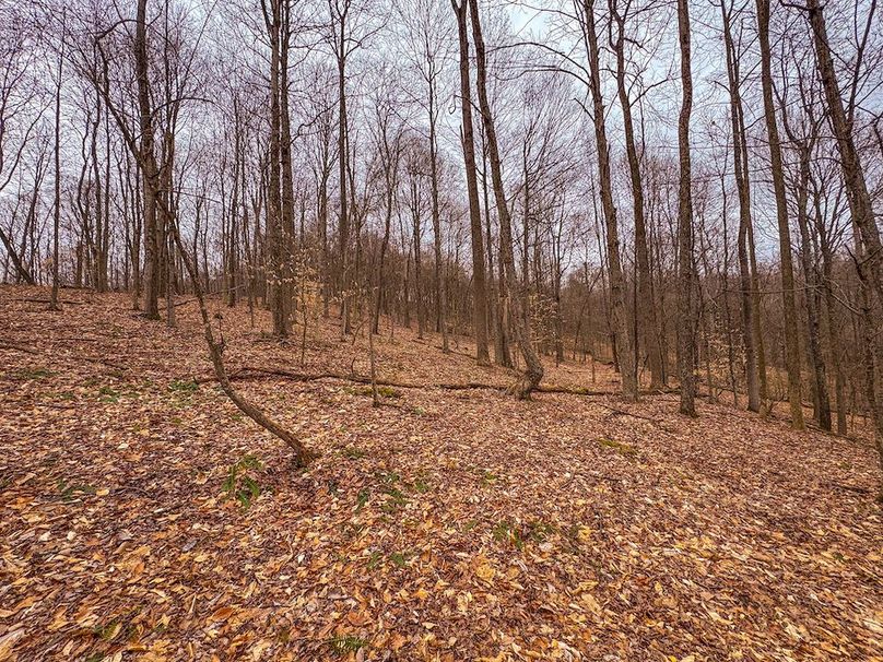 Tyler, WV 90 AC Burkhart-51