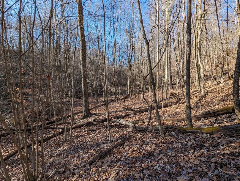 PXL_20231215_172130112