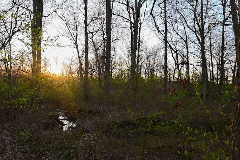 vandalia 450 (2)-2299