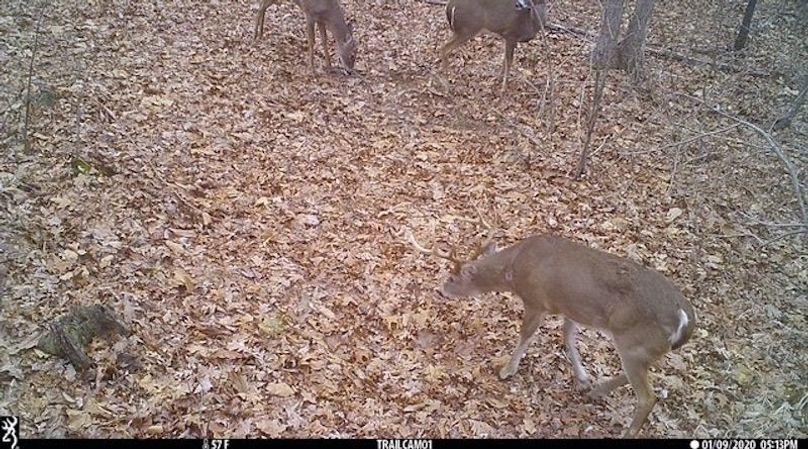 buck 58a 2
