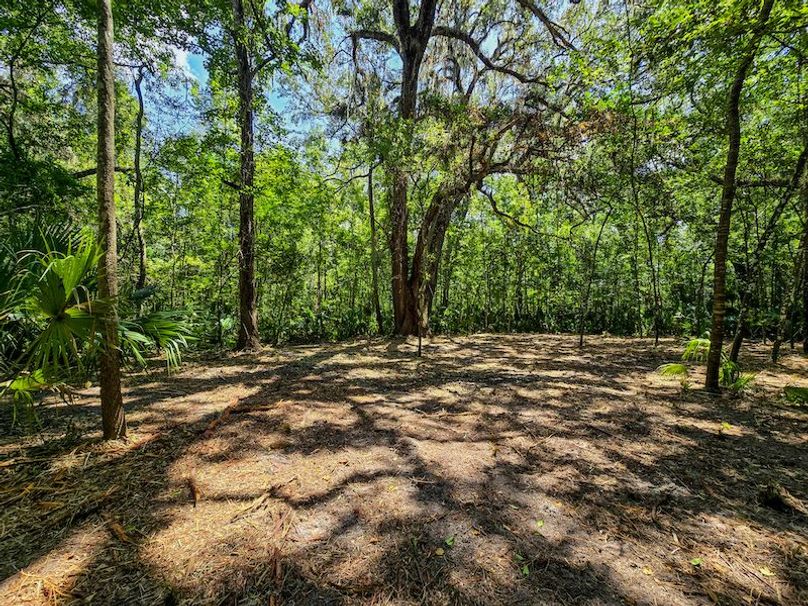 1.01ac, Citrus, Josiah Ronco13