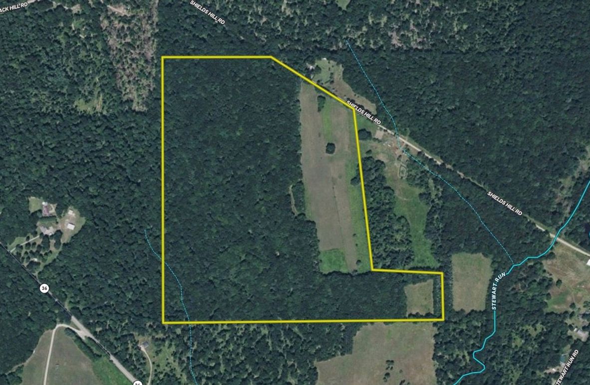 Screen Shot 2025-09-13 at 9.54.13 AM