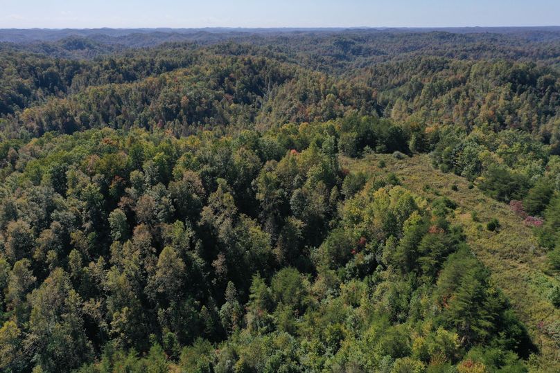 007 aerial drone shot along the northwest boundary showing the open field area