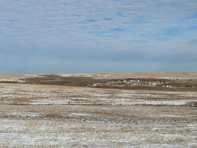 48C4A103-68D8-4606-8D00-13C46DBA471B_1_105_c