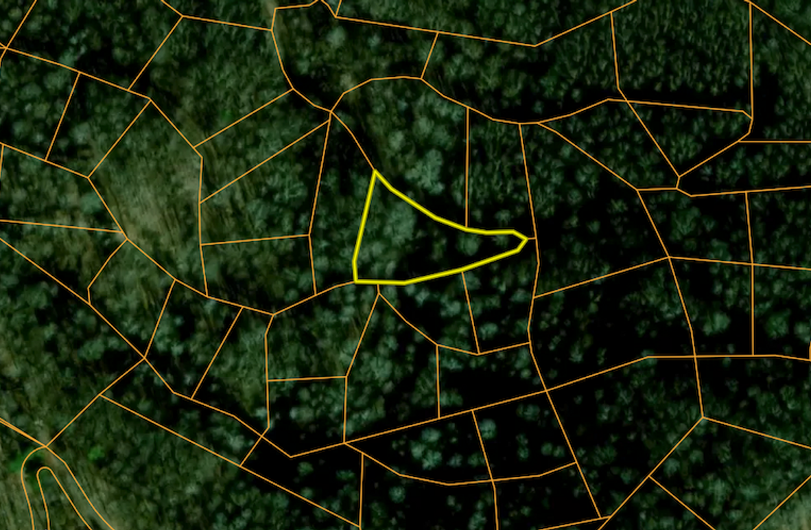 Screenshot 2025-03-19 at 10.54.08 AM