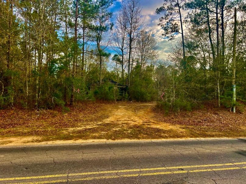 83CE3BB0-0995-4185-9818-7FED391212EE_1_201_a