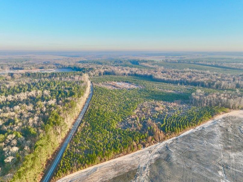 dji_fly_20250222_074108_434_1740228277886_photo