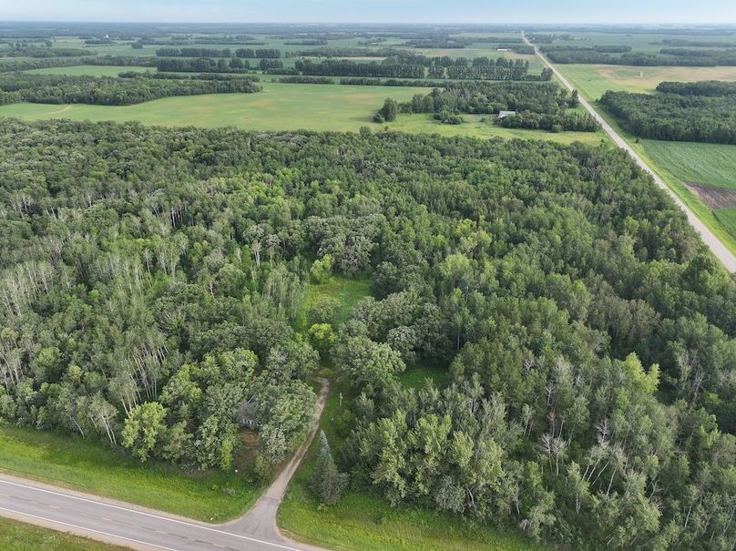 DJI_20250605123939_0531_D