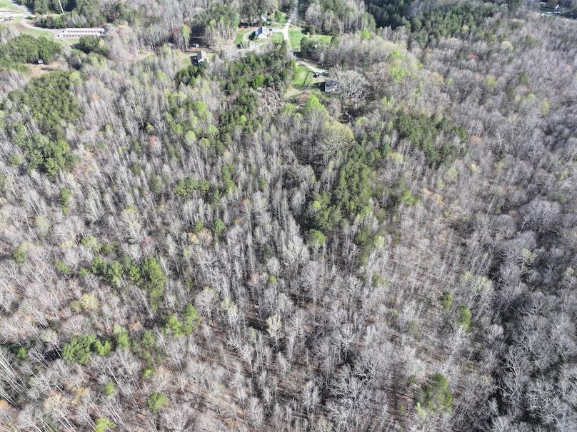 dji_fly_20260330_094724_0733_1774966010300_photo