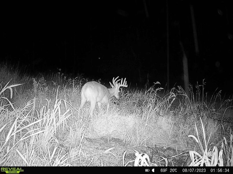 325D2A51-2EA5-471B-8D28-CF30A02EDC07