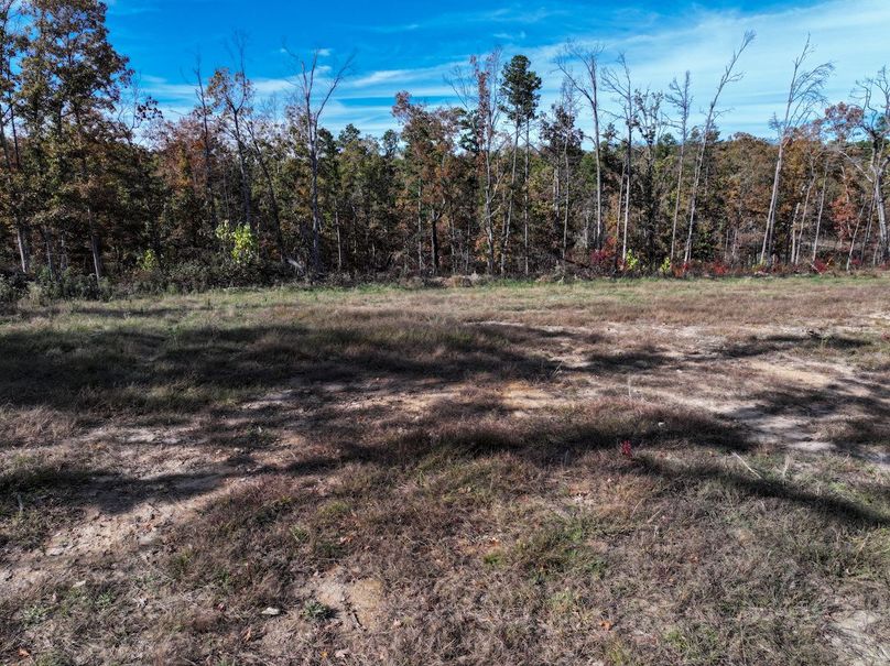 DJI_20251104130656_0850_D