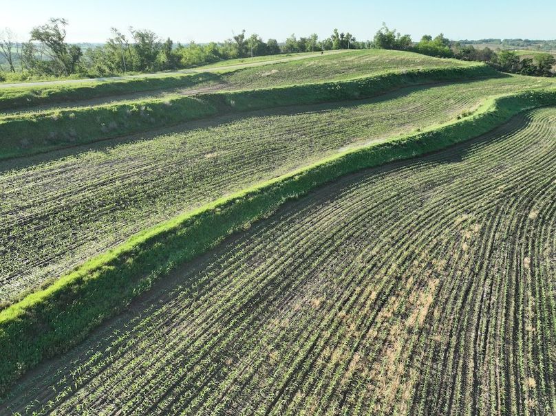 dji_fly_20260601_080148_524_1780319423756_photo