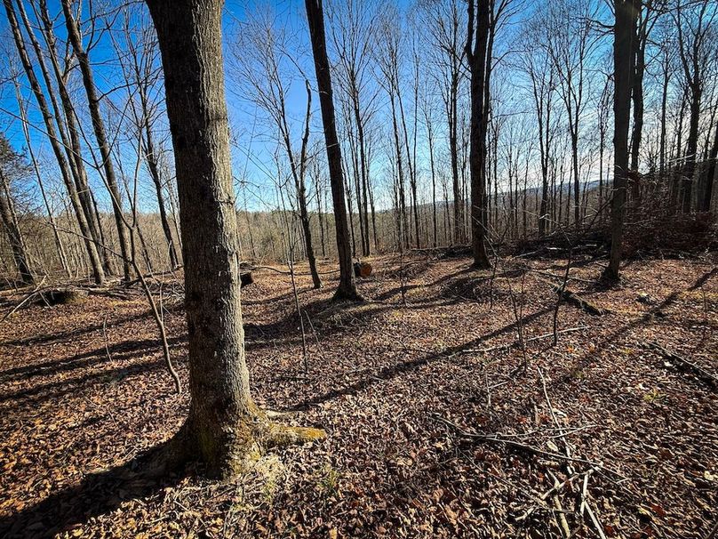 Chemung_31.75_Seymour_South_Photos_14