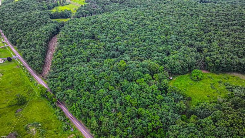 Bedford,121,Beegle-47