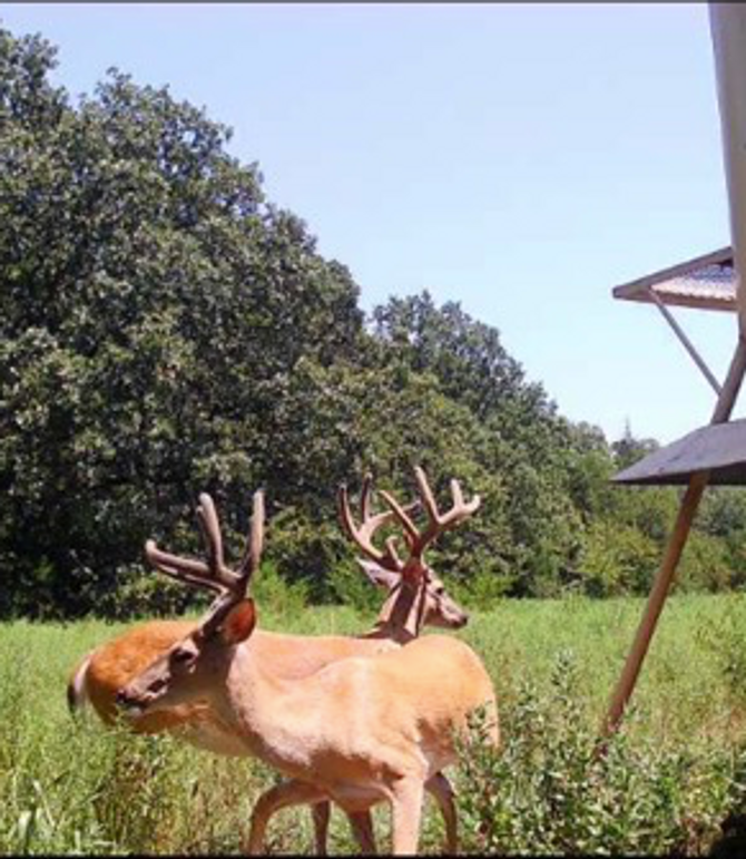 Screen Shot 2023-12-21 at 2.12.10 PM