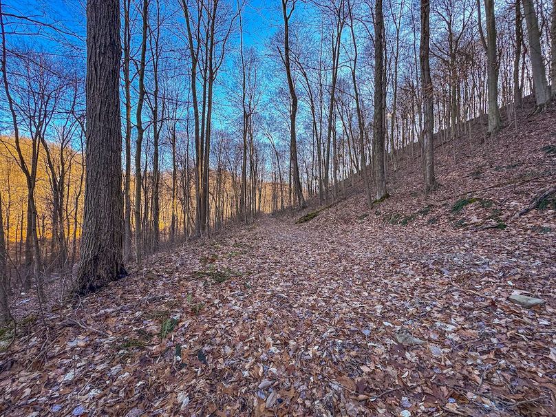 Pleasants, WV 81 AC Barron-17